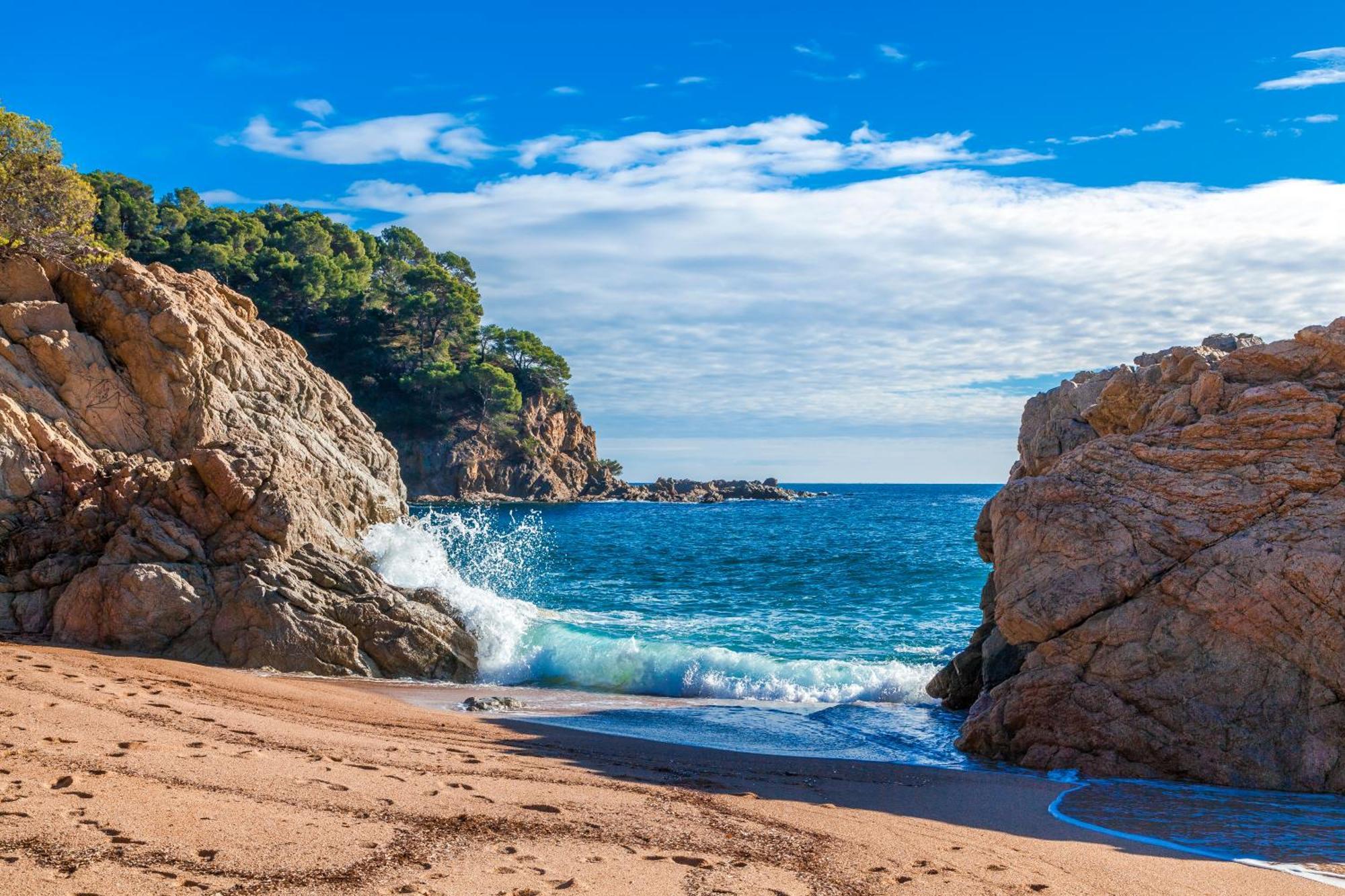 Tarongeta * Palafrugell
