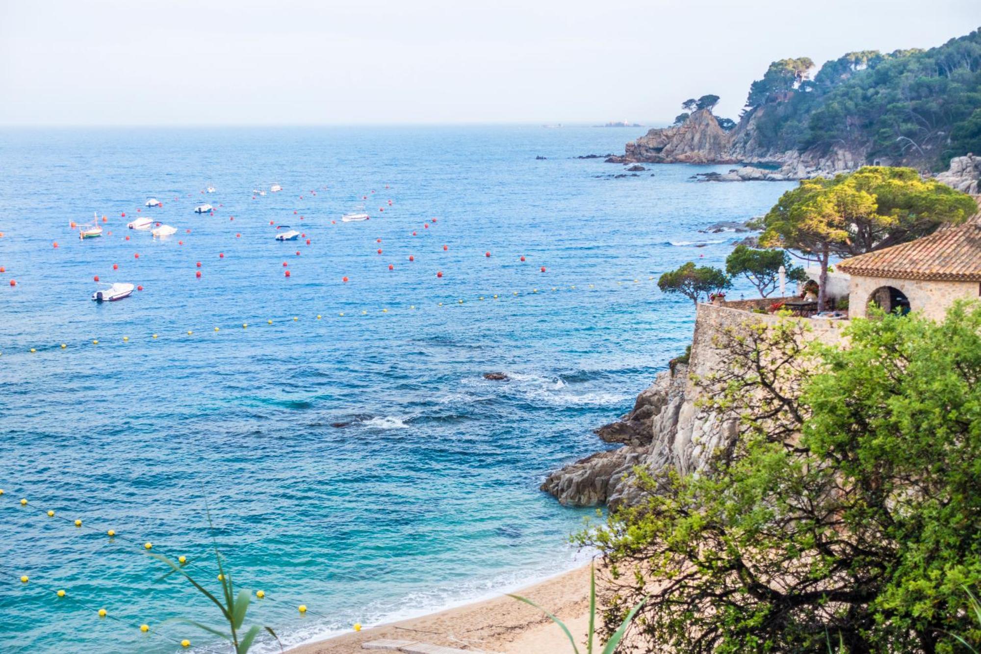 Tarongeta Palafrugell