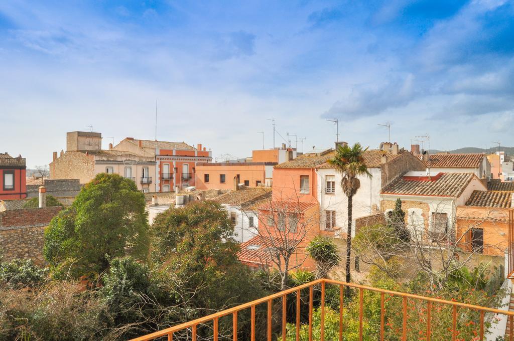 Tarongeta Palafrugell